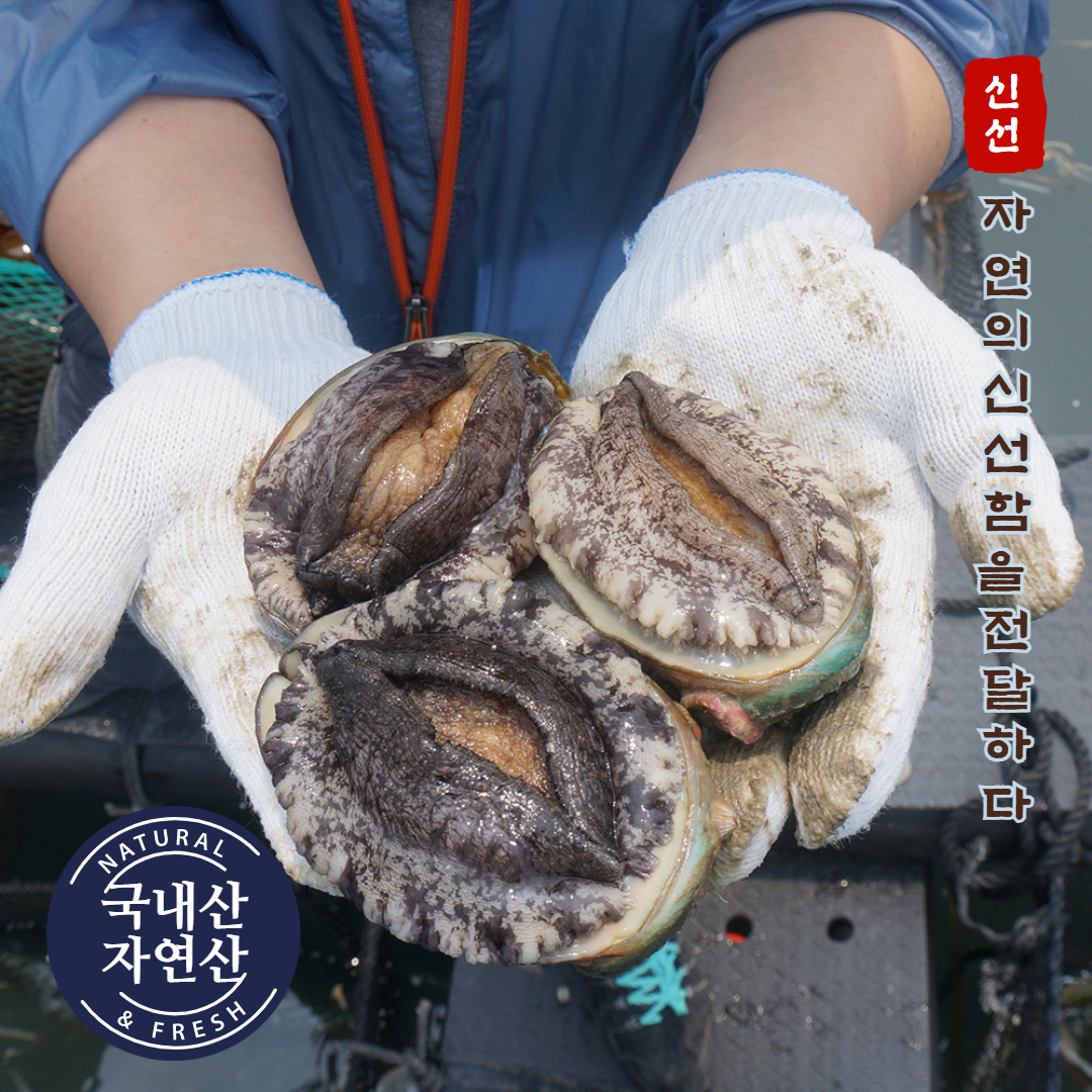 완도 활 전복 (소) 1kg (30미 내외)